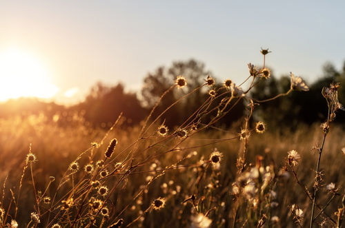 Adobestock 393086572