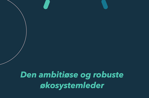 Skærmbillede 2025 08 01 Kl. 07.37.31