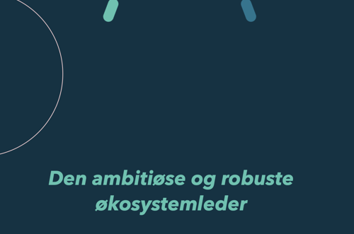 Skærmbillede 2025 08 01 Kl. 07.37.31