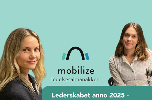 Skærmbillede 2025 02 11 Kl. 14.12.53