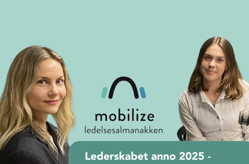 Skærmbillede 2025 02 11 Kl. 14.12.53