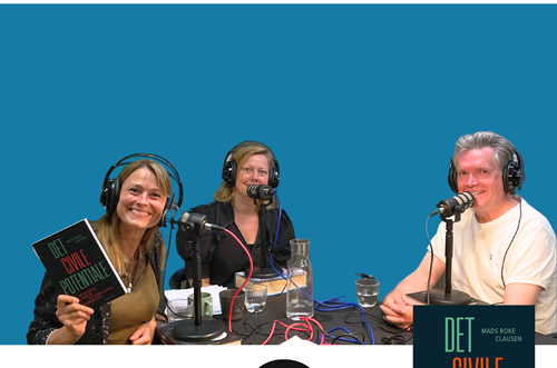 Billede Til Linkedin (1)